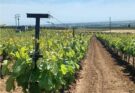 ΜΕΣΗΜΒΡΙΑ : Υπεγράφη… σύμβαση για το αρδευτικό δίκτυο της Νέας Μεσημβρίας